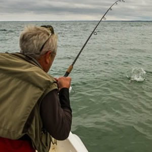 One of my Dublin guests playing a good trout from my boat.  July 2014.
