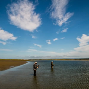 Anglers casting to trout we spotted feeding in a channel at low water. July 2013.